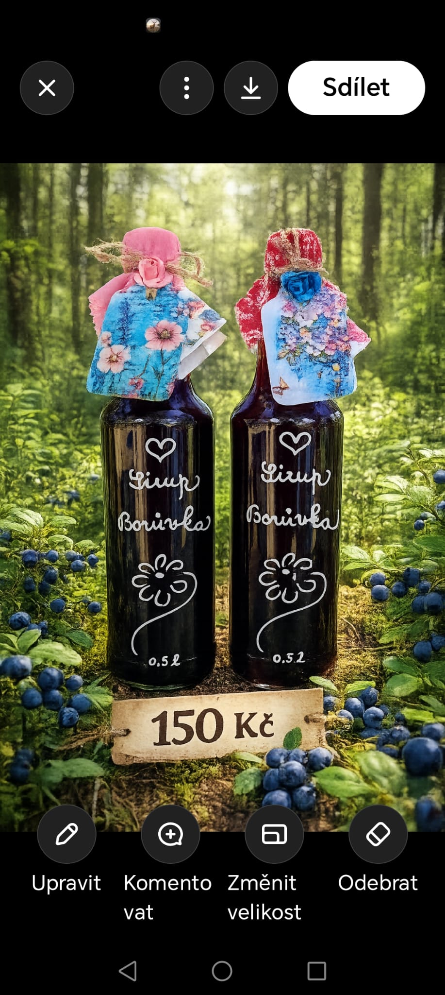 Borůvkový sirup 0,5 l