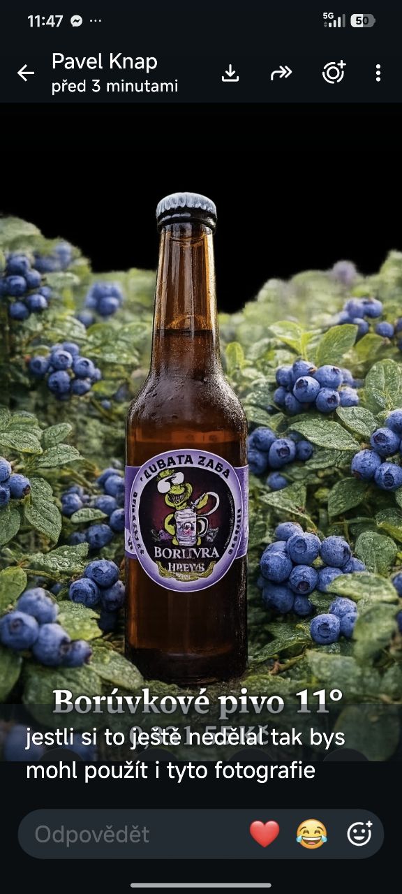 Borůvkové pivo 0,33 l