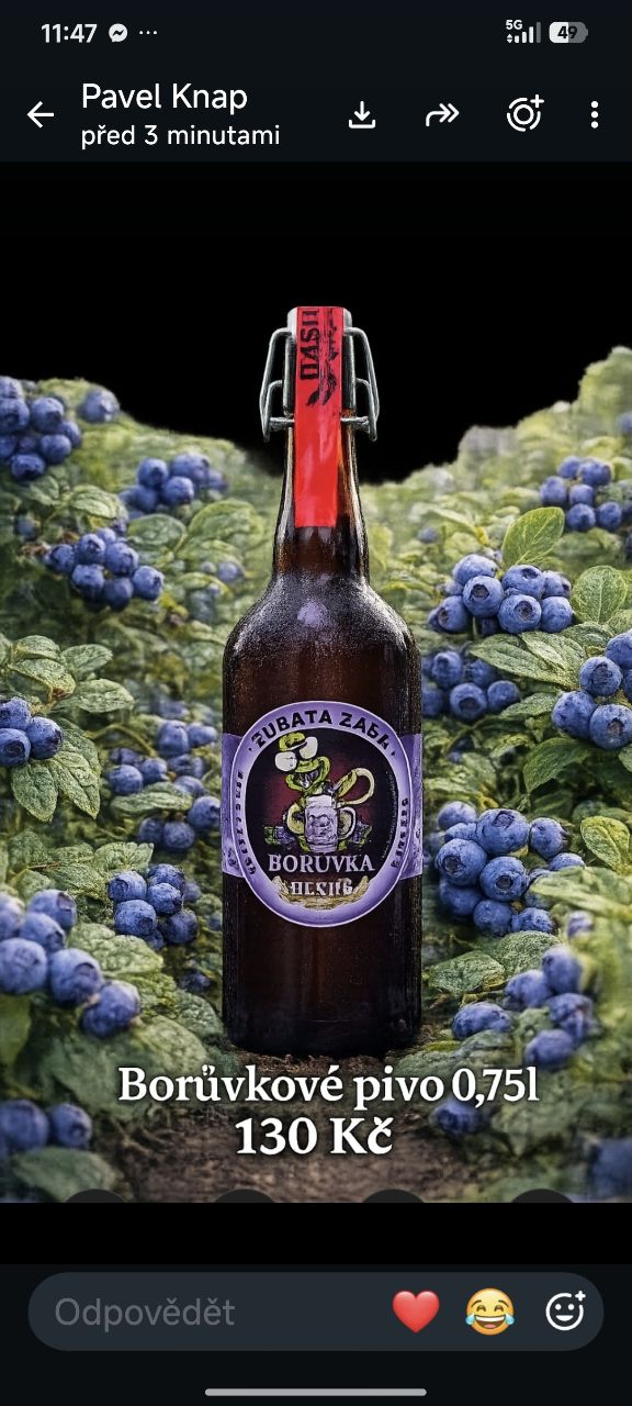Borůvkové pivo 0,75 l